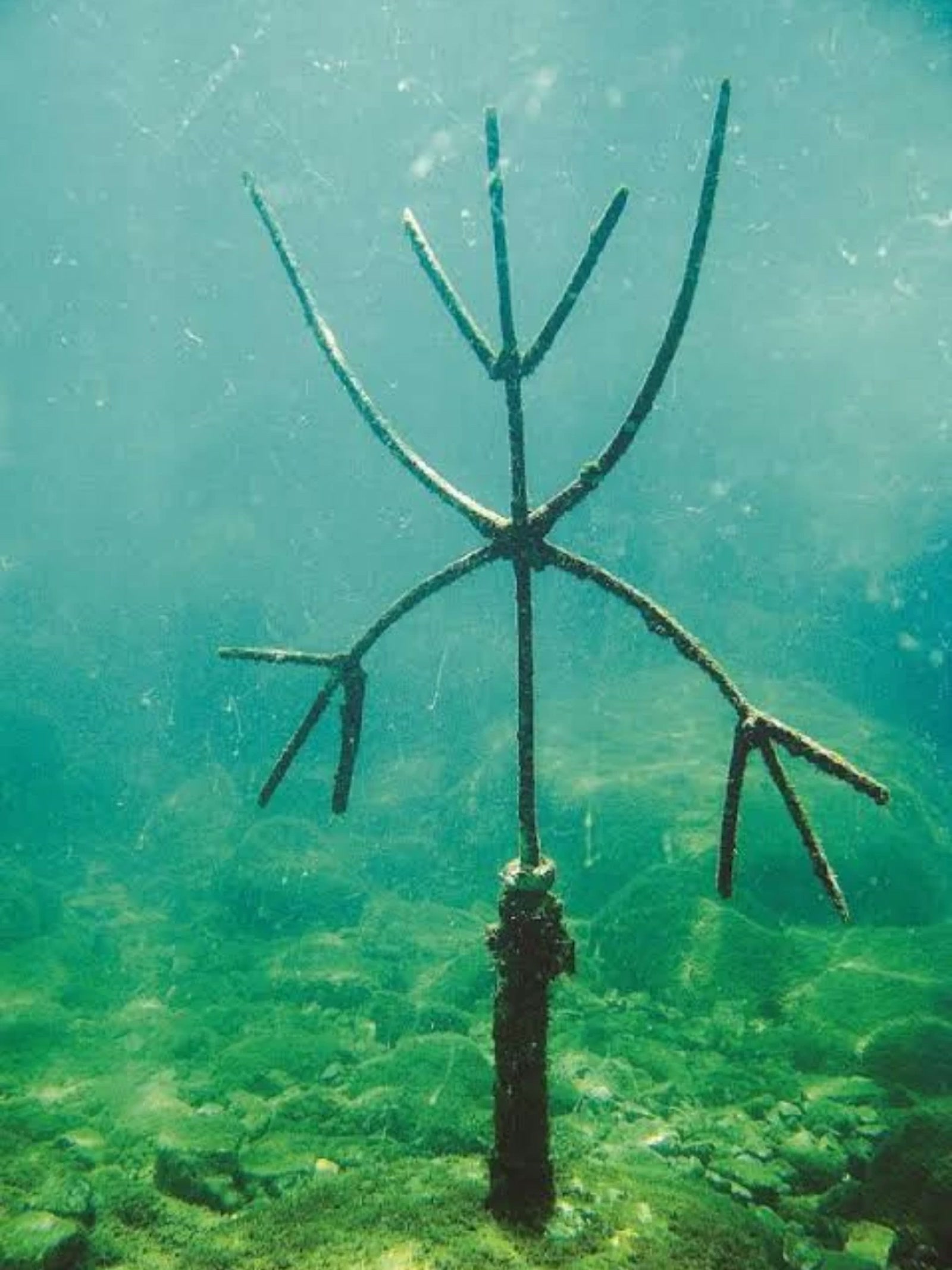 A escultura de Exu debaixo d'água, do livro O Exu Submerso